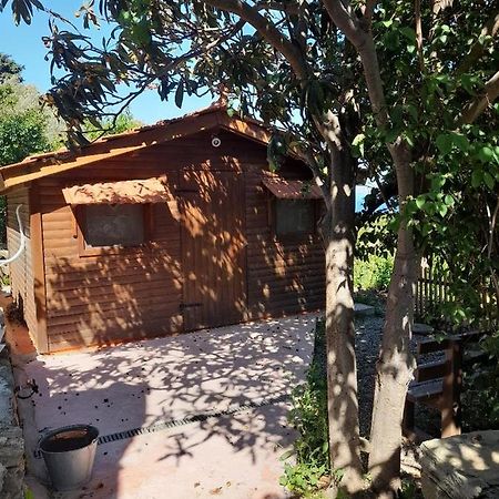 Casa Di Patouria , Stenies Andros Apikia  Kültér fotó