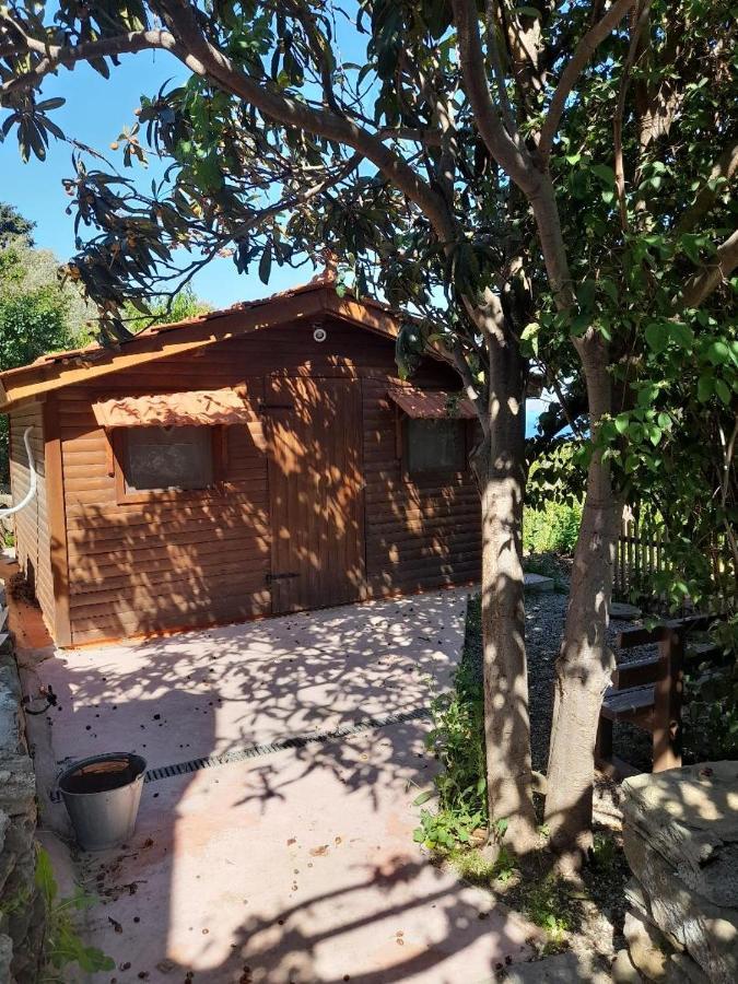 Casa Di Patouria , Stenies Andros Apikia  Kültér fotó