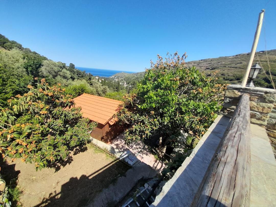 Casa Di Patouria , Stenies Andros Apikia  Kültér fotó